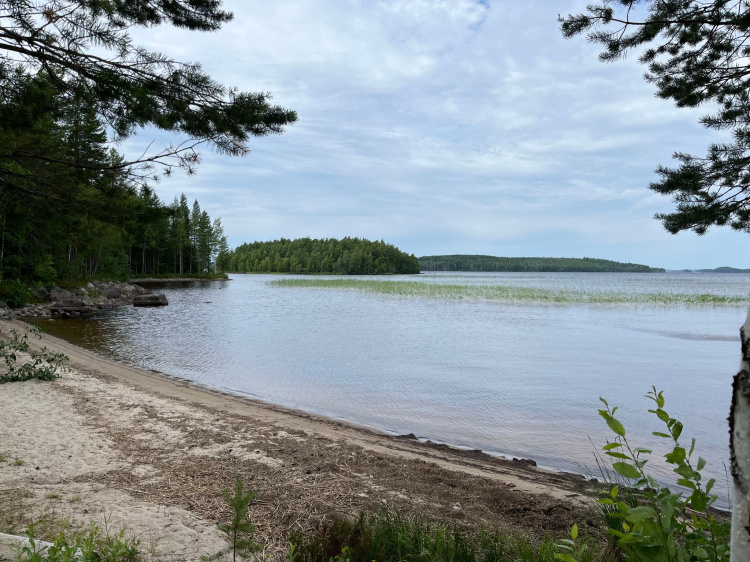 Partalanranta Koitereella Huhuksessa.