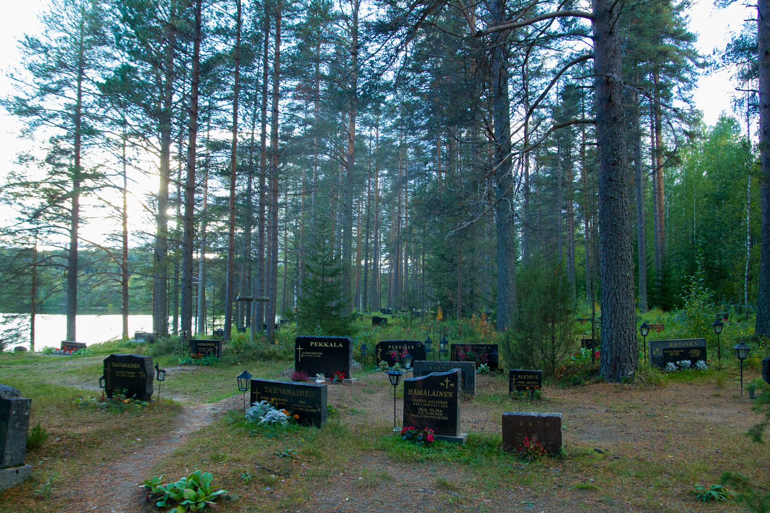 Järven rannalla sijaitsevan hautausmaan hautakiviä ympäröivät suuret männyt.