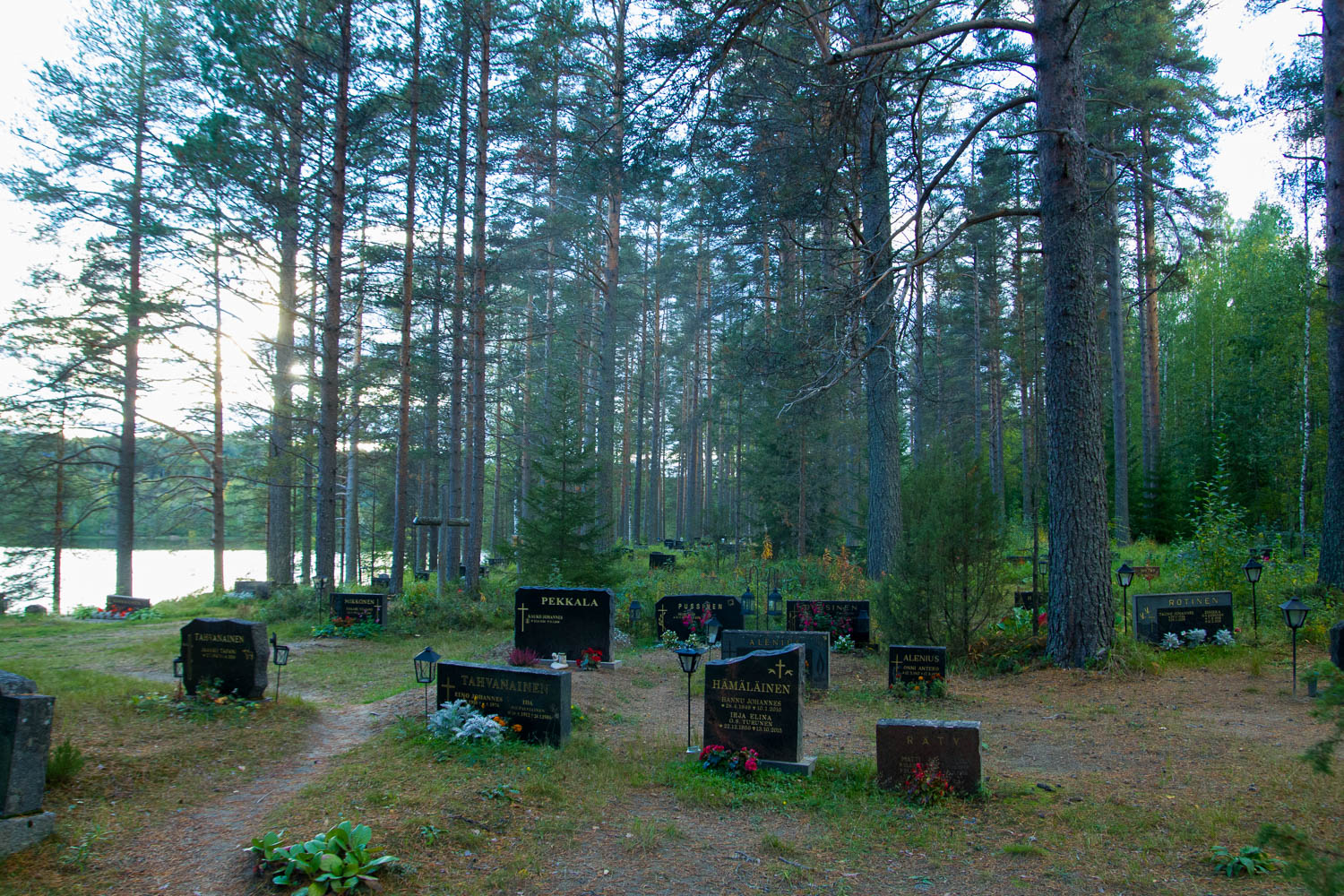 Kivilahden hautausmaa Järven rannalla sijaitsevan hautausmaan hautakiviä ympäröivät suuret männyt.