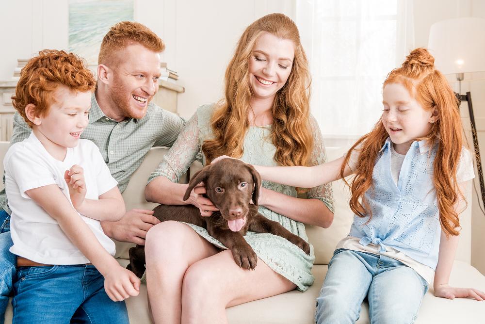 Perhe, johon kuuluu isä, äiti, tyttö ja poika, istuvat sohvalla. Äidillä on sylissään ruskea koira.