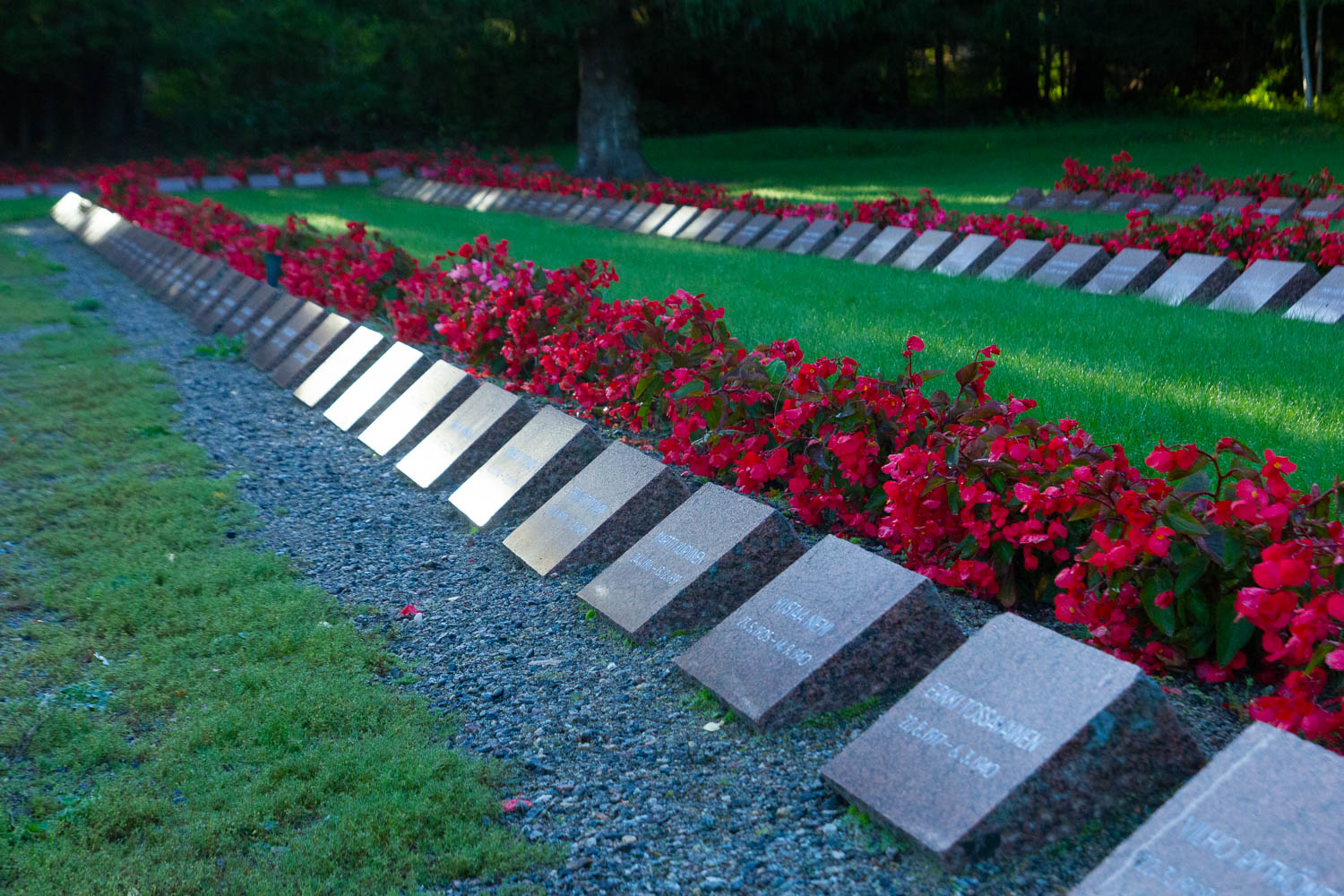 Hautakivet ovat rivissä ja jokaisella haudalla on punainen kukkaistutus.